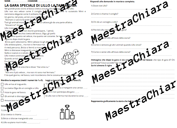 Lettura e comprensione del testo come esercitazione o verifica classe seconda e terza.