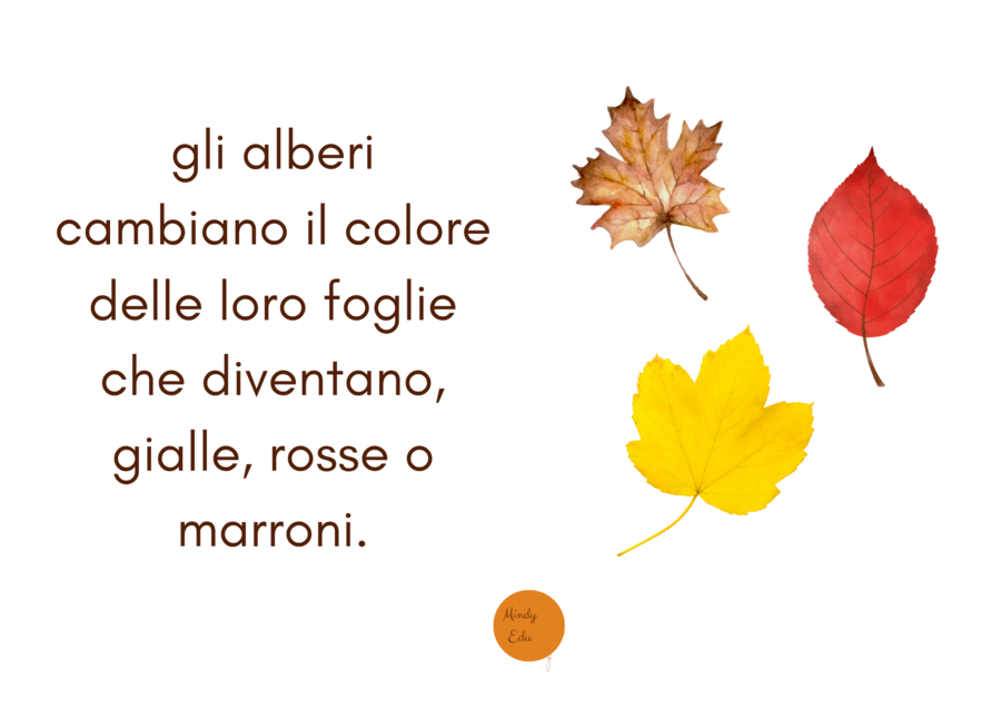L’autunno – Flash cards educative scuola infanzia e nido pdf