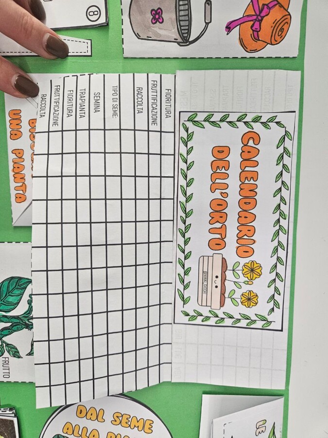 🌿 Lapbook “Il mio orto”