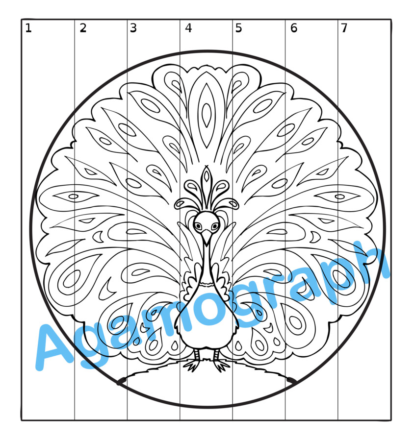 Agamograph speciale MANDALA