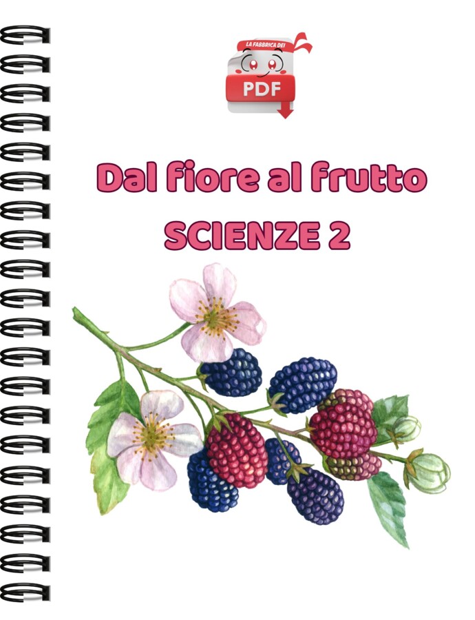 IL SUPER QUADERNO DI SCIENZE:CL.2 - dal fiore al frutto
