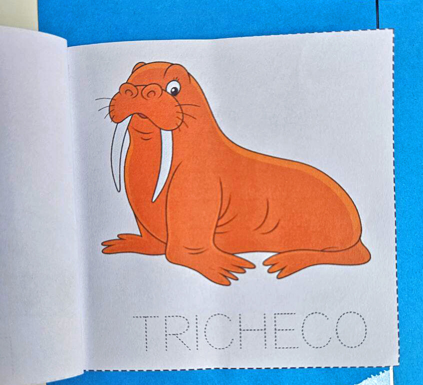 ❄️ Lapbook “È arrivato l’inverno”