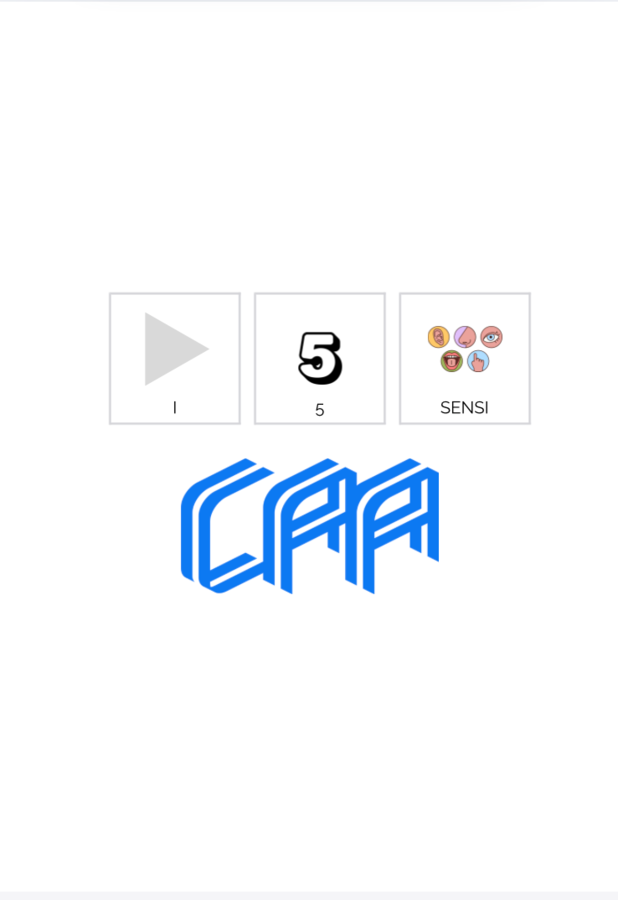 I 5 SENSI IN CAA (CANVA PITTOGRAMMI) 28 PG