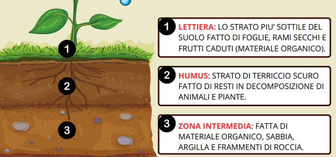 IL SUOLO - SCIENZE