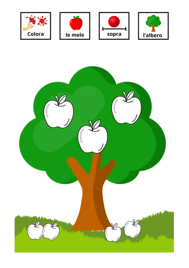 Schede concetti topologici frutta