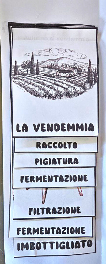 🍇 Lapbook dell’Uva