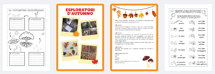 Kit di Schede Didattiche sulle Piante per la Scuola Primaria: Attività Educative e Giochi per Imparare