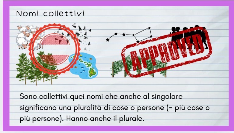 Alla scoperta di nomi e articoli