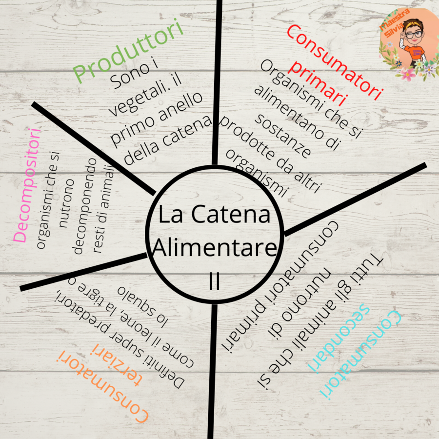 La catena Alimentare