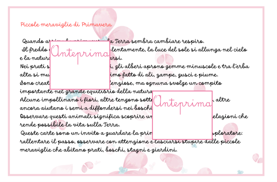 Animali della Primavera – Carte Montessori con Schede Scientifiche e Attività di Classificazione- classi 1/2 e scuola dell'infanzia