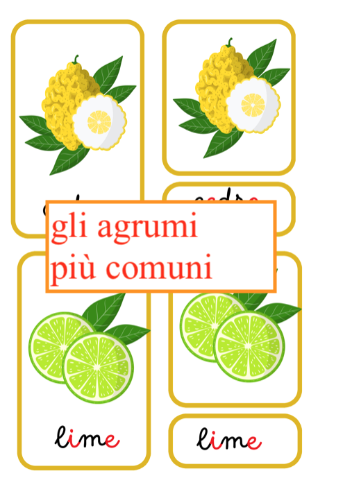 Carte di nomenclature Montessori per l'autunno- pack con 5 nomenclature