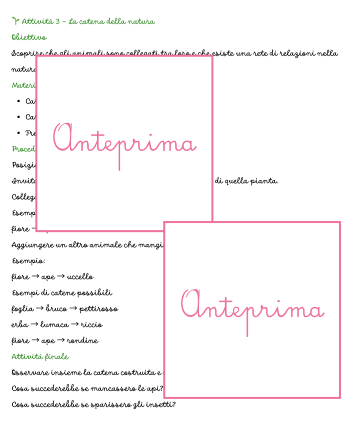 Animali della Primavera – Carte Montessori con Schede Scientifiche e Attività di Classificazione- classi 1/2 e scuola dell'infanzia