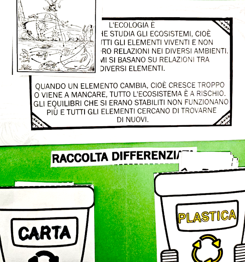 🌿 Ecologia Lapbook
