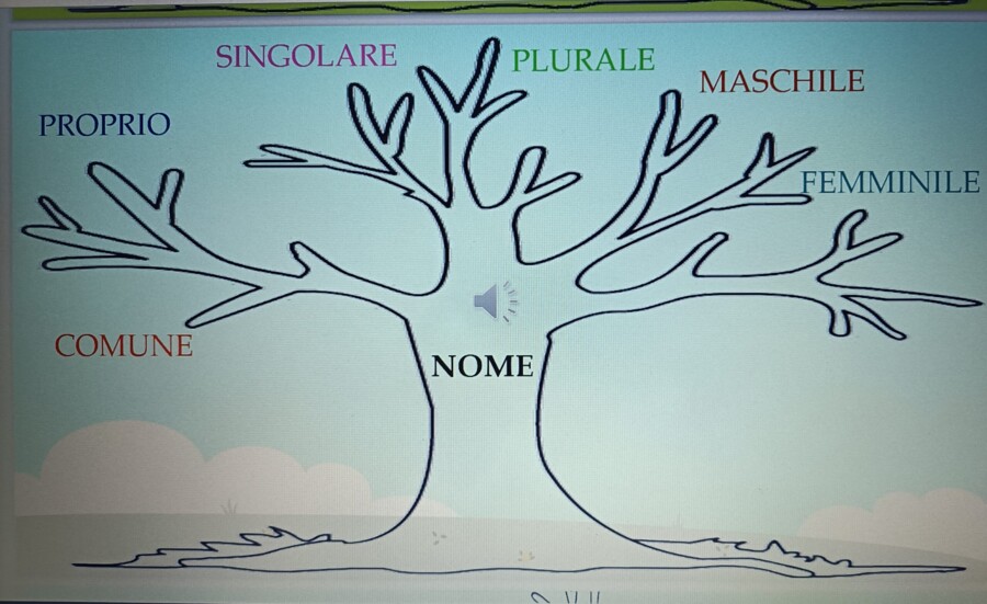 IL NOME - PERCORSO BASE DI CONOSCENZA DELLA suddetta CATEGORIA LESSICALE E GRAMMATICALE
