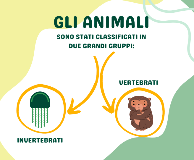 VERTEBRATI E INVERTEBRATI: MINI BOOK