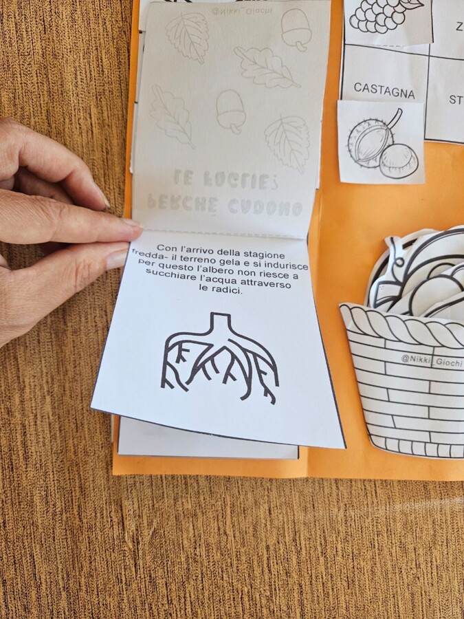 LAPBOOK sull'Autunno