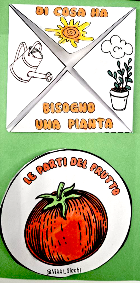 🌿 Lapbook “Il mio orto”