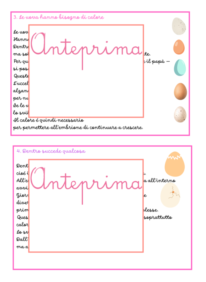 Matematica di Pasqua( e non solo) – Problemi entro il 20 con le 4 operazioni (Classe 1ª-2ª) Nidi, uova e pulcini: problemi con distrattori e pillole scientifiche sugli uccelli