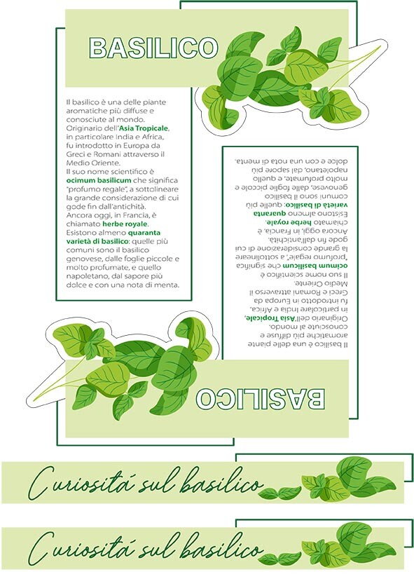 “SuperERBE. Aromi verticali” Estratto STUDIO 8 PIANTE AROMATICHE