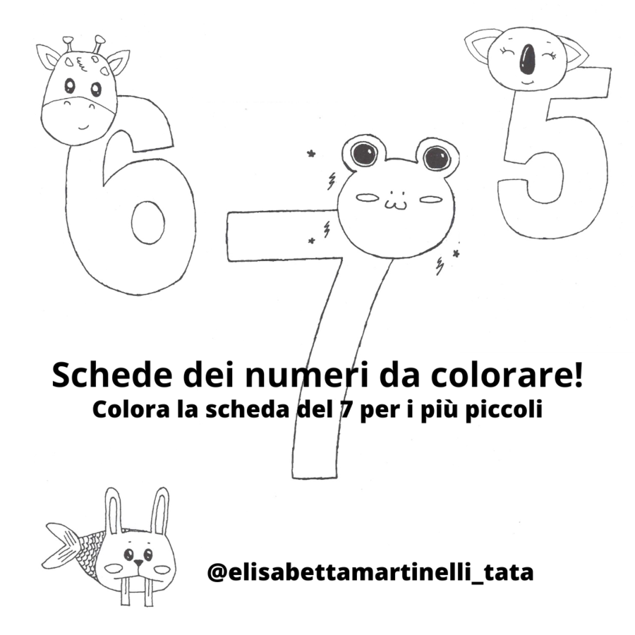 Scheda del 7