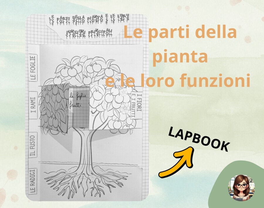 Lapbook: "Le parti della pianta"