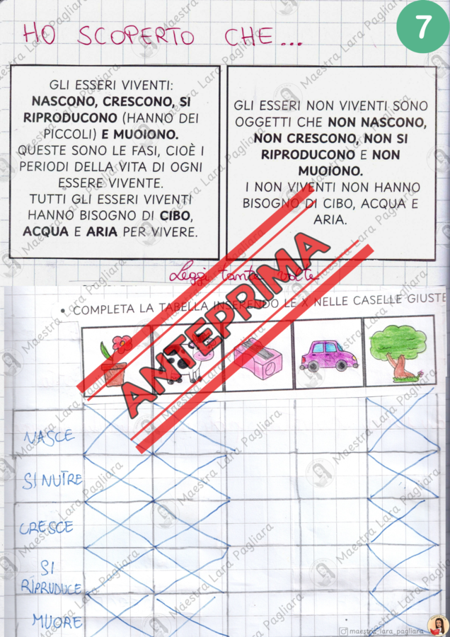 Esseri viventi - le piante - classe prima