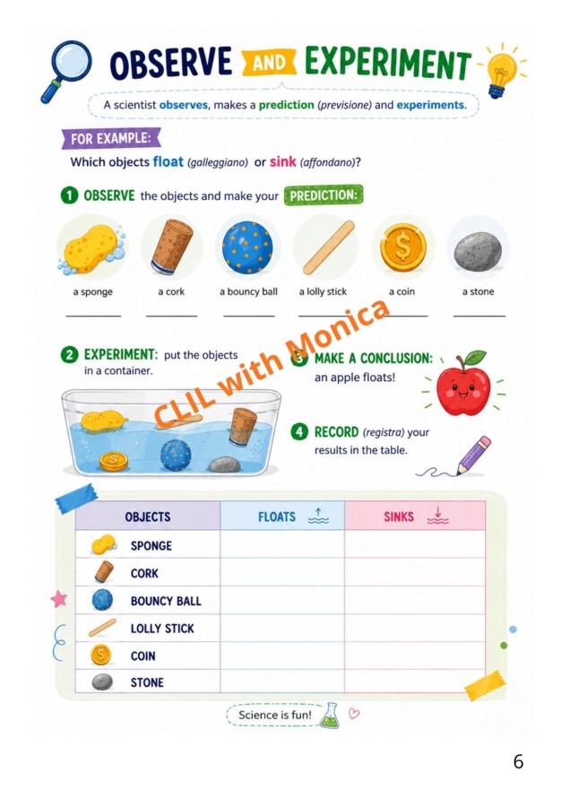 CLIL Science classe 3^
