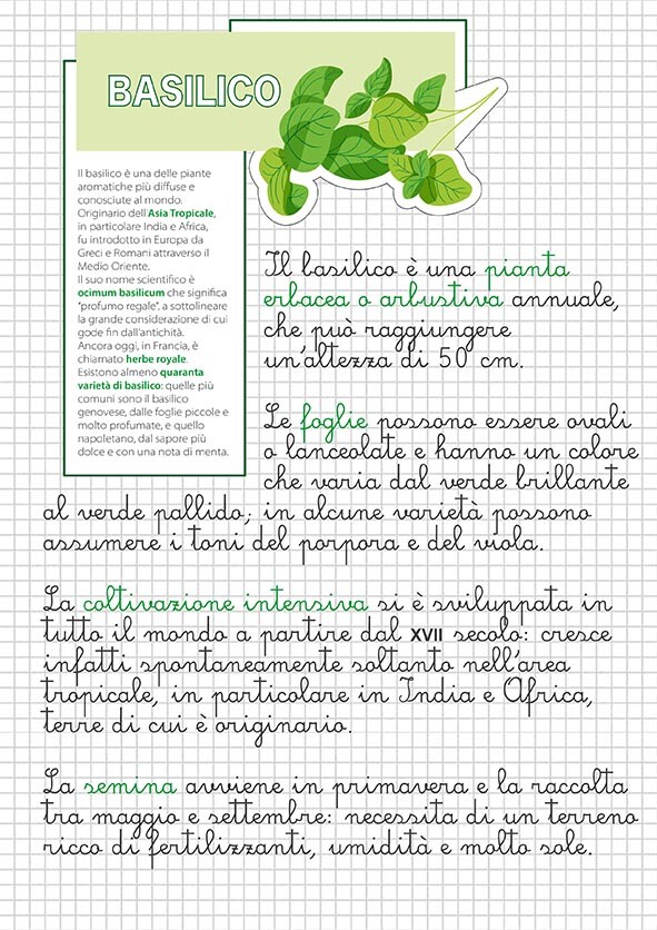 “SuperERBE. Aromi verticali” Estratto STUDIO 8 PIANTE AROMATICHE