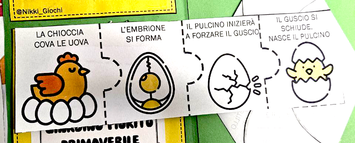 🌸 Lapbook sulla Primavera