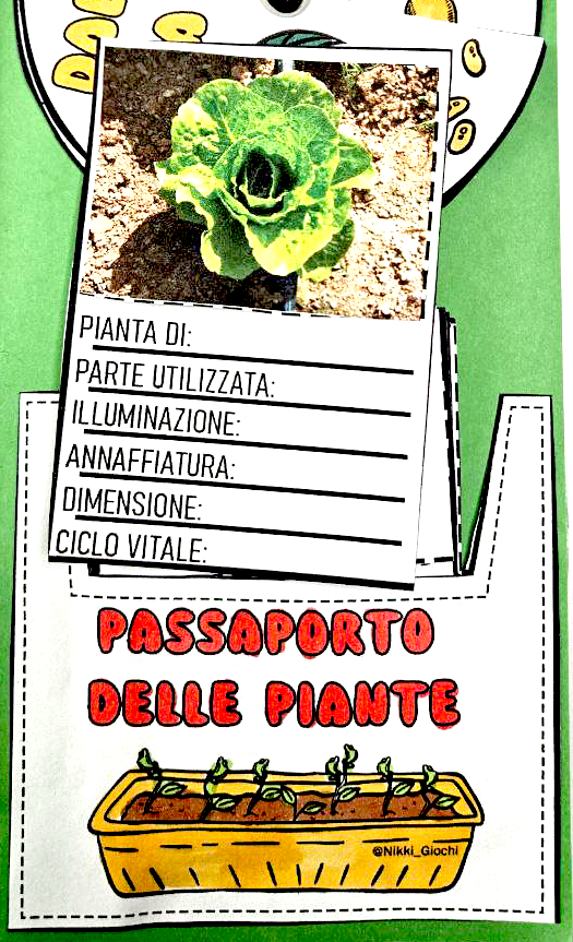 🌿 Lapbook “Il mio orto”