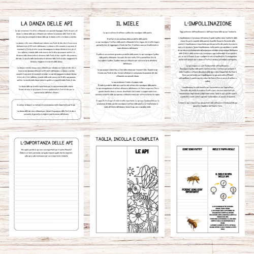 Le api e il miele - schede didattiche