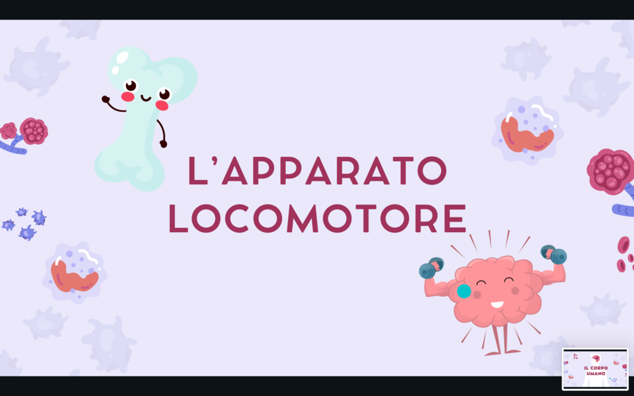 Presentazione ppt APPARATO LOCOMOTORE (scheletrico e muscolare)