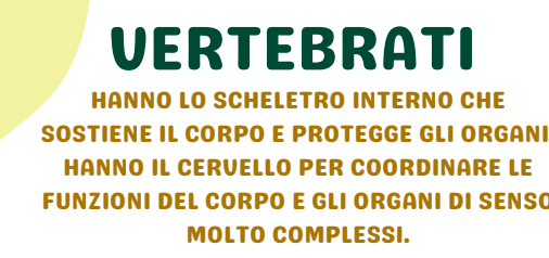 VERTEBRATI E INVERTEBRATI: MINI BOOK