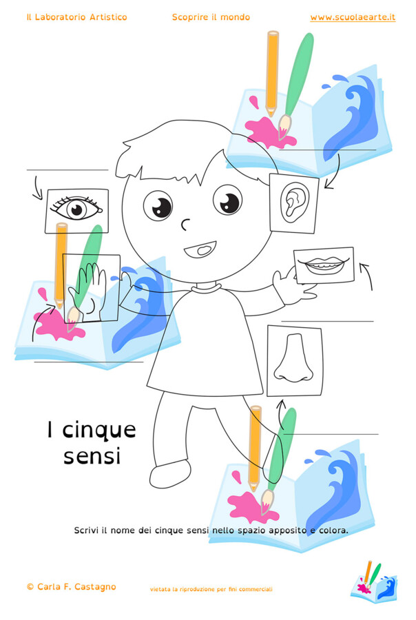 Piccolo diario dei 5 sensi