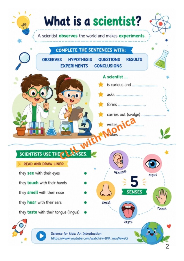 CLIL Science classe 3^