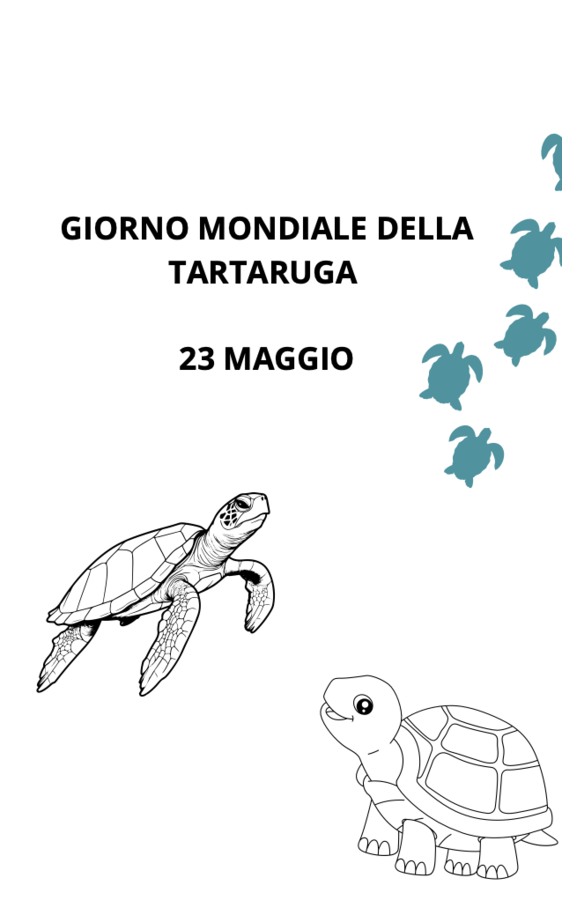 IL GIORNO MONDIALE DELLA TARTARUGHE : FILE PER CLASSI 1-2-3 SCUOLA PRIMARIA 22 PAGINE