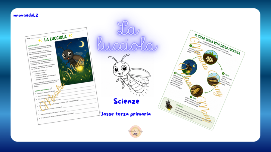 la lucciola. Attività di scienze classe terza