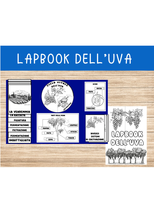 🍇 Lapbook dell’Uva