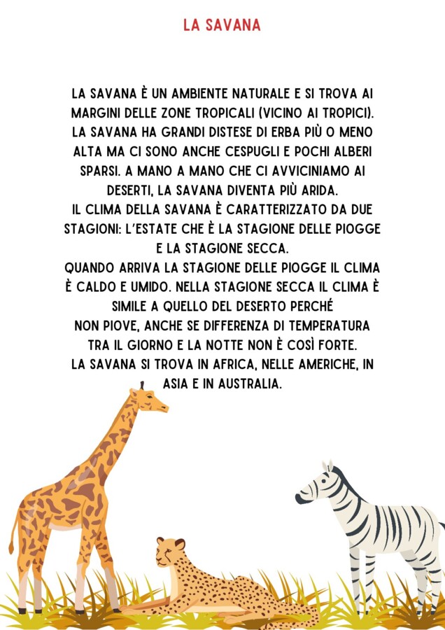 LA SAVANA
