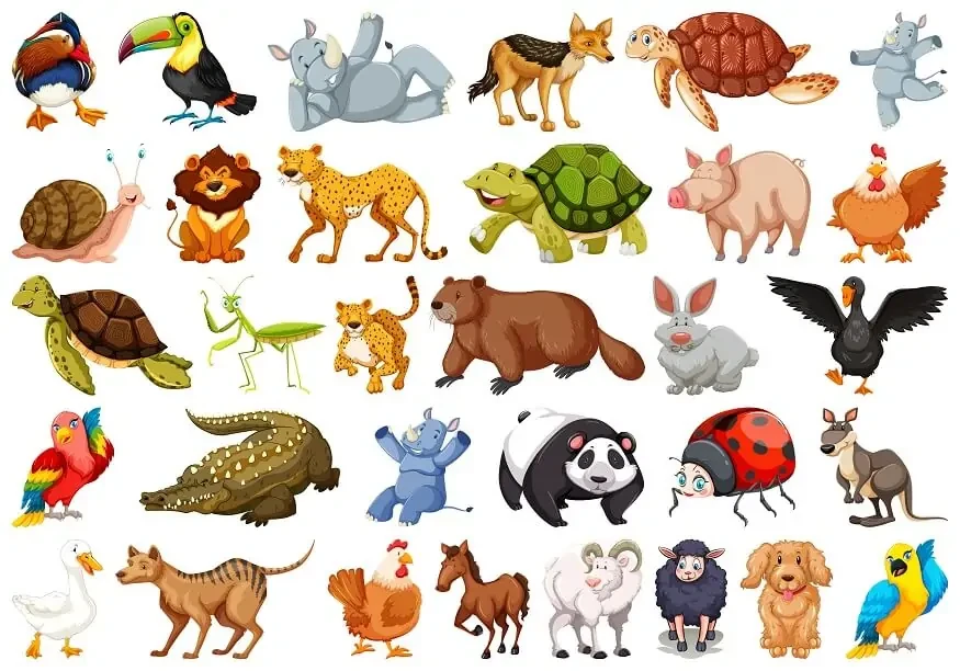 Animal alphabet - Alfabeto degli animali in inglese