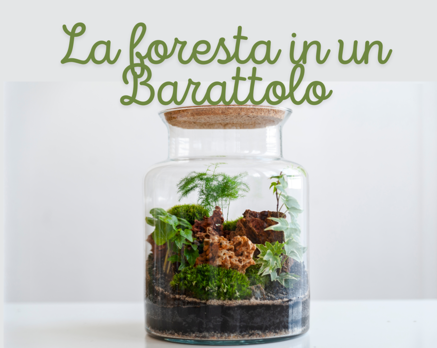La Magia della Foresta in un Barattolo