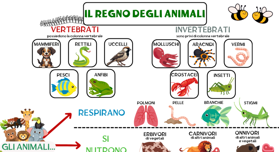 IL REGNO DEGLI ANIMALI - MAPPA COMPLETA