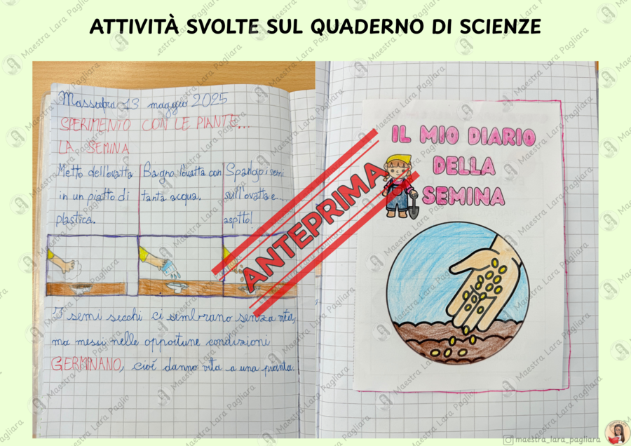 La semina a scuola - scienze classe prima