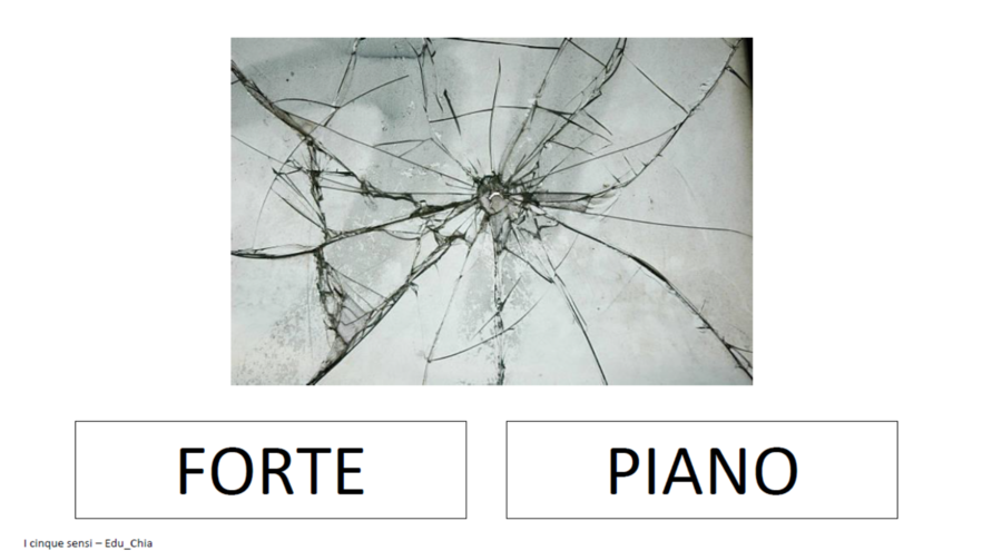 I cinque sensi