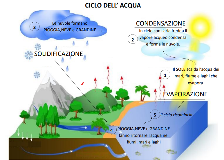 SCIENZE - Il ciclo dell'acqua