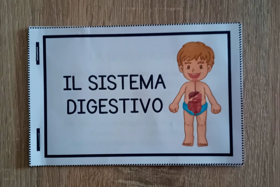 Il Sistema Digestivo - Flip Book