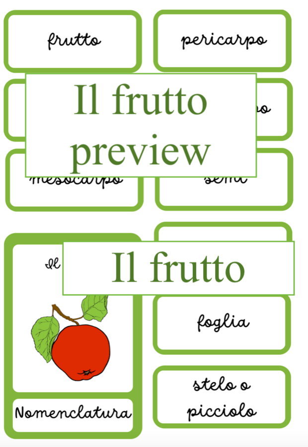 Nomenclatura arricchita Montessori: il frutto