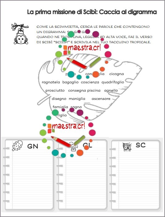La scimmietta scova digrammi