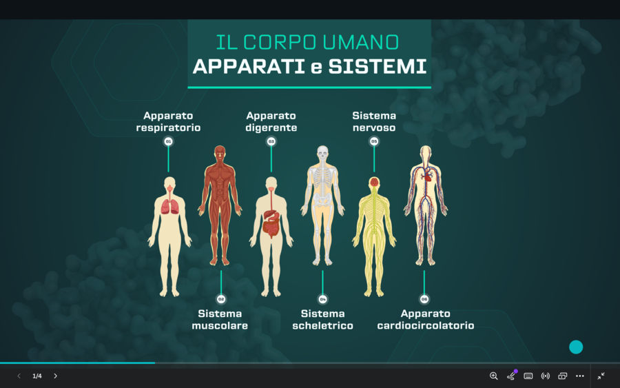 Presentazione corpo umano - ppt introduttivo (scienze - classe quinta)