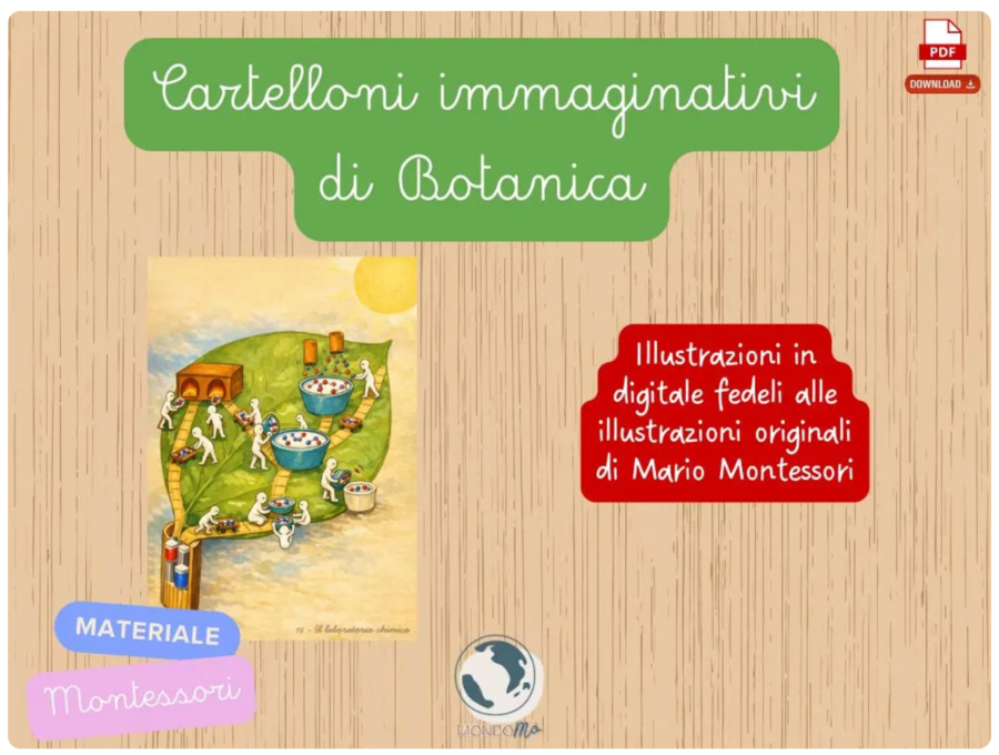 Botanica Montessori | 19 chart | Set completo 19 PDF Stampabile | 6-10 anni | Cartelloni impressionistici immaginativi bisogni della pianta